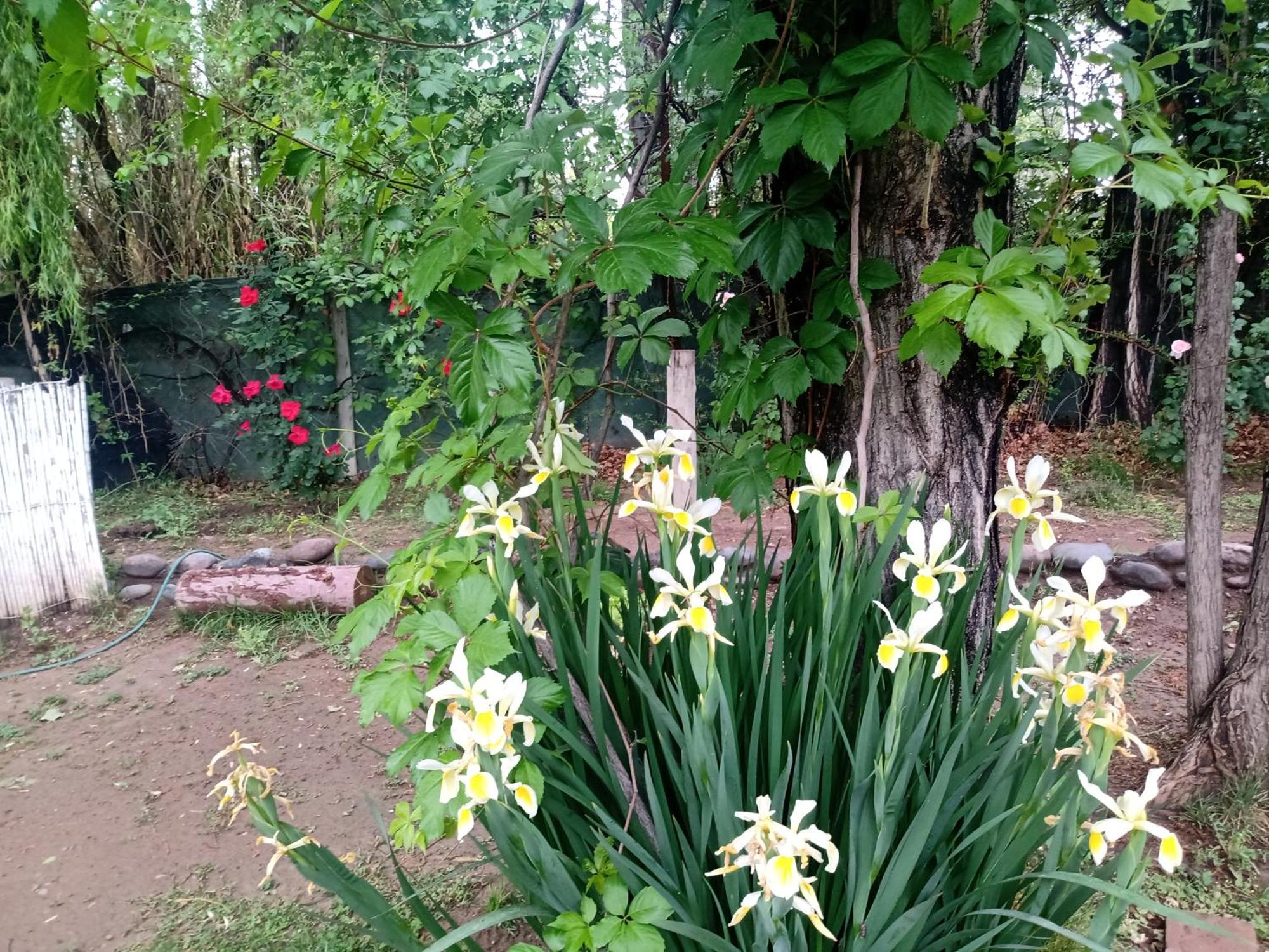 Los Siete Chakras Bed & Breakfast Lujan de Cuyo Luaran gambar